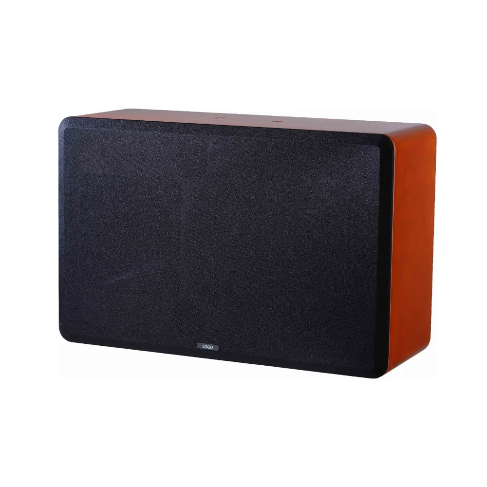 V10A Karaoke Speaker