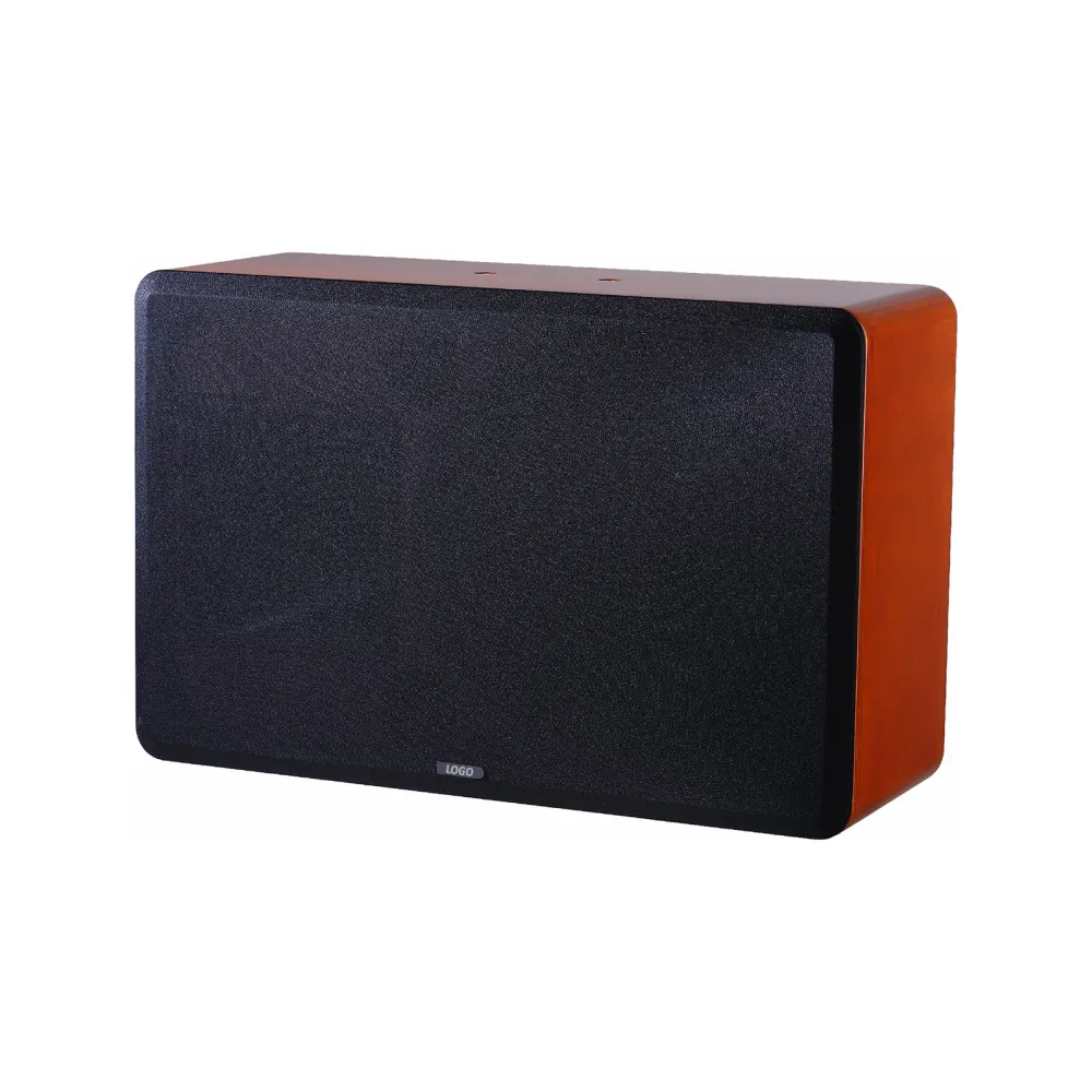 V12A Karaoke Speaker
