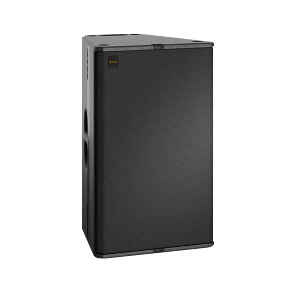 DY-TR24 Excellent Speech Intelligibility and Musicality, Dual 12" Point Source Loudspeakers